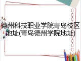 德州科技职业学院青岛校区地址(青岛德州学院地址)