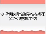 沙坪坝挖机培训学校在哪里(沙坪坝挖机学校)