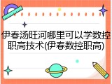 伊春汤旺河哪里可以学数控职高技术(伊春数控职高)