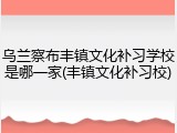 乌兰察布丰镇文化补习学校是哪一家(丰镇文化补习校)