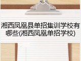湘西凤凰县单招集训学校有哪些(湘西凤凰单招学校)