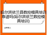 哈尔滨依兰县数控模具培训靠谱吗(哈尔滨依兰数控模具培训)