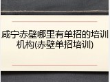 咸宁赤壁哪里有单招的培训机构(赤壁单招培训)