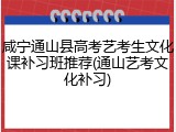 咸宁通山县高考艺考生文化课补习班推荐(通山艺考文化补习)