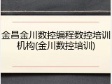 金昌金川数控编程数控培训机构(金川数控培训)
