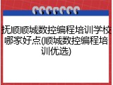 抚顺顺城数控编程培训学校哪家好点(顺城数控编程培训优选)