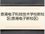 贵港电子科技技术学校新校区(贵港电子新校区)