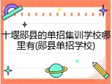 十堰郧县的单招集训学校哪里有(郧县单招学校)
