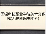 无锡科技职业学院美术分数线(无锡科院美术分)