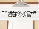 岳普湖县学挖机多少学费(岳普湖挖机学费)