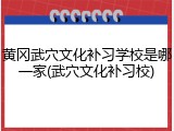 黄冈武穴文化补习学校是哪一家(武穴文化补习校)