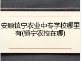 安顺镇宁农业中专学校哪里有(镇宁农校在哪)