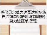 呼伦贝尔莫力达瓦达斡尔族自治旗单招培训班有哪些(莫力达瓦单招班)