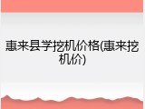 惠来县学挖机价格(惠来挖机价)