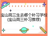 宝山高三生去哪个补习学校(宝山高三补习推荐)