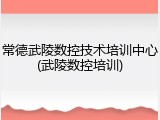 常德武陵数控技术培训中心(武陵数控培训)