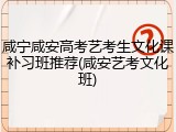 咸宁咸安高考艺考生文化课补习班推荐(咸安艺考文化班)