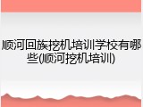 顺河回族挖机培训学校有哪些(顺河挖机培训)
