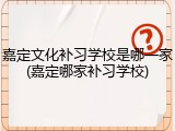 嘉定文化补习学校是哪一家(嘉定哪家补习学校)