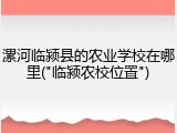 漯河临颍县的农业学校在哪里("临颍农校位置")