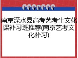 南京溧水县高考艺考生文化课补习班推荐(南京艺考文化补习)