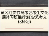 黄冈红安县高考艺考生文化课补习班推荐(红安艺考文化补习)