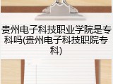 贵州电子科技职业学院是专科吗(贵州电子科技职院专科)