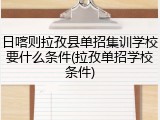 日喀则拉孜县单招集训学校要什么条件(拉孜单招学校条件)