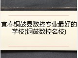 宜春铜鼓县数控专业最好的学校(铜鼓数控名校)
