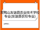 双鸭山友谊县农业技术学校专业(友谊县农校专业)