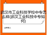 武汉市工业科技学校中专怎么样(武汉工业科技中专如何)