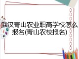 武汉青山农业职高学校怎么报名(青山农校报名)