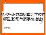 丽水松阳县单招集训学校在哪里(松阳单招学校地址)