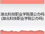 湖北科技职业学院是公办吗(湖北科技职业学院公办吗)