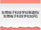 东莞电子科技学校靠谱吗(东莞电子科技学校如何)