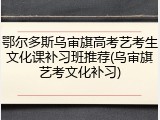 鄂尔多斯乌审旗高考艺考生文化课补习班推荐(乌审旗艺考文化补习)