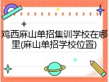 鸡西麻山单招集训学校在哪里(麻山单招学校位置)
