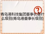 青岛港科技集团董事长是什么级别(青岛港董事长级别)