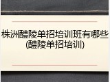 株洲醴陵单招培训班有哪些(醴陵单招培训)