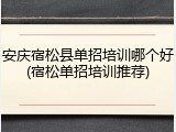 安庆宿松县单招培训哪个好(宿松单招培训推荐)