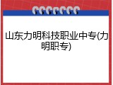 山东力明科技职业中专(力明职专)