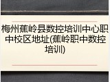 梅州蕉岭县数控培训中心职中校区地址(蕉岭职中数控培训)