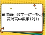 黄浦高中数学一对一补习(黄浦高中数学1对1)