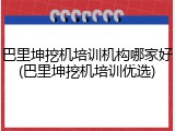 巴里坤挖机培训机构哪家好(巴里坤挖机培训优选)