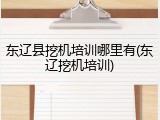 东辽县挖机培训哪里有(东辽挖机培训)