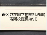 青冈县在哪学挖掘机培训(青冈挖掘机培训)