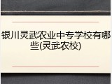 银川灵武农业中专学校有哪些(灵武农校)
