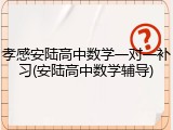 孝感安陆高中数学一对一补习(安陆高中数学辅导)