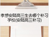 孝感安陆高三生去哪个补习学校(安陆高三补习)