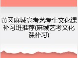 黄冈麻城高考艺考生文化课补习班推荐(麻城艺考文化课补习)